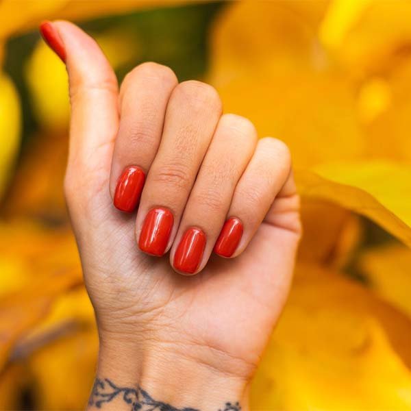 uñas de invierno sencillas